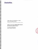 BCTC hop nhat ban Tieng Viet