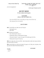 Mau Quyet dinh cu di cong tac