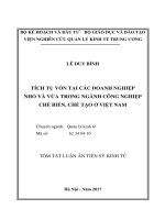 Tích tụ vốn tại các doanh nghiệp nhỏ và vừa trong ngành công nghiệp chế biến, chế tạo ở Việt Nam (tt)