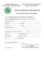 Biểu mẫu công tác sinh viên Giay xac nhan HSSV