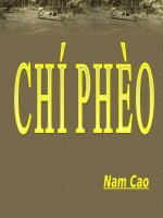 Tuần 13. Chí Phèo
