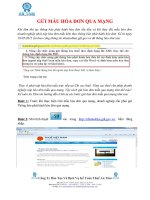 Bai.Viet .Gui .Mau .Hoa .Don .Qua .Mạng www.ketoanantam.com