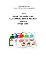 PHÂN TÍCH CHIẾN LƯỢC SẢN PHẨM XÀ PHÒNG RỬA TAY LIFEBUOY Ở VIỆT NAM