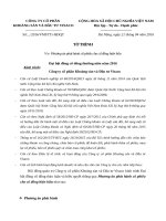 9  To trinh phat hanh co phieu cho co dong hien huu