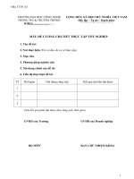 Mau TTTN 02 De cuong chi tiet