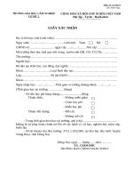 Mau giay vay von 2011