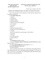 Huong dan trinh bay bao cao