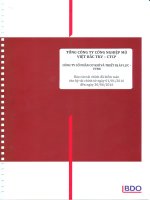 Báo cáo tài chính 6 tháng năm 2016