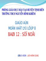 Bai 12 su noi vạt li 8