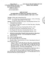 Nghị quyết Đại hội đồng cổ đông bất thường năm 2016 Tổng công ty Cảng hàng không Việt Nam - CTCP