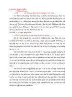 Cơ sở thực tiễn vai trò của mô hình