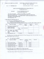 BAO CAO TINH HINH QUAN TRI CTY 6 thang 2015 1