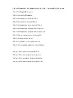 Mới Các mẫu đơn và Hồ sơ bảo vệ các cấp của Nghiên cứu sinh(1)