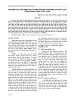 Đất và Phân bón | Vien Khoa Hoc Ky Thuat Nong Nghiep Mien Nam