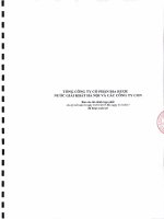 BCTC HOP NHAT QUY 1 NAM 2017