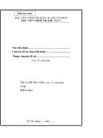 mau tieu luan ban chuan 30 9