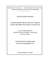 Cảnh báo khủng hoảng tiền tệ và khủng hoảng hệ thống ngân hàng tại Việt nam