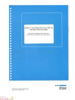 bao cao tai chinh ban nien 2017 soat xet BED