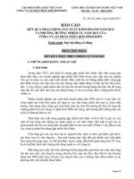 Báo cáo kết quả sản xuất kinh doanh năm 2012 và kế hoạch năm 2013