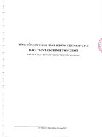 Báo cáo tài chính tổng hợp cho giai đoạn từ ngày 01 01 2017 đến ngày 31 3 2017.