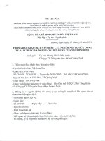 Vũ Lam Sơn - Phó chủ tịch HĐQT Phó Tổng Giám đốc Công ty