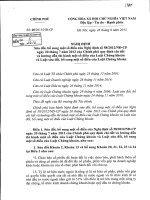 Nghi dinh so 60 sua doi bo sung mot so dieu Nghi dinh 58(1)