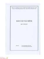 bao cao tai chinh quy 1 2017 BED