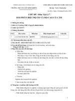 chu de do to do cao cua am2)