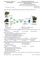 De thi thu mon Sinh Hoc so giao duc va dao tao tinh Ninh Binh lan 3 sinhhoc24h.com