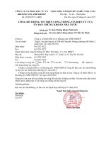 Báo cáo tài chính Hợp nhất quý 4 năm 2016