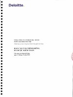 BCTC rieng ban Tieng Viet