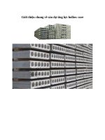 Gioi Thieu san hollowcore