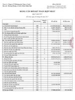 BCTC hop nhat quy 2 nam 2017 ky