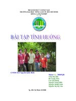 BT tinh huong 2 nhom 3