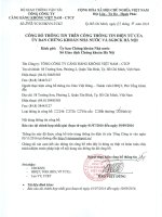 Công bố thông tin Báo cáo tài chính hợp nhất giai đoạn từ ngày 01 7 2016 đến ngày 30 9 2016