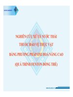 Nôi dung chuyên đề 