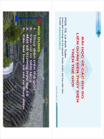 Nội dung chuyên đề 