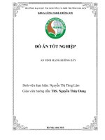 ...Nguyễn Thị Tùng Lâm.pdf