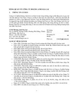 TỔNG QUAN VỀ CÔNG TY HOÀNG ANH GIA LAI