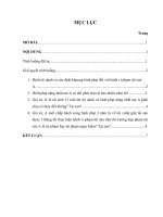 bài tập học kỳ môn luật hình sự 2