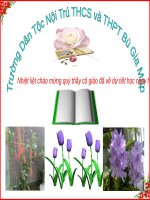 Bài 11. Tìm hiểu chung về văn bản thuyết minh