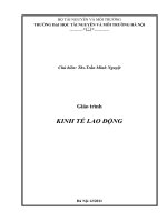 ...GT Kinh te lao dong.pdf