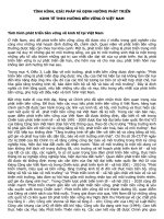 TÌNH HÌNH, GIẢI PHÁP và ĐỊNH HƯỚNG PHÁT TRIỂN KINH tế THEO HƯỚNG bền VỮNG ở VIỆT NAM