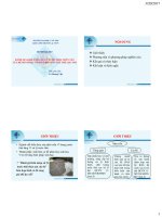 Nội dung chuyên đề khoa học về 