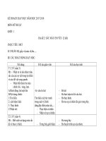 mĩ thuật chủ đề 2-2018