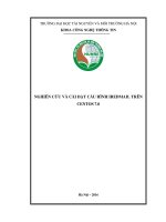 ...Nguyễn Thị Minh Huệ.pdf