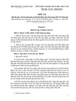 Dieu le hoi thi tong phu trach Doi gioi(ban chinh)