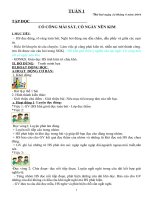 Giáo án môn Toán, Tiếng Việt lớp 2 VNEN (cả năm)