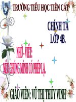 Tuần 11. Nhớ-viết: Nếu chúng mình có phép lạ