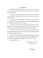 Nghiên cứu nâng cao dung tích hồ chứa hồ sông mực tỉnh thanh hóa phục vụ theo nhiệm vụ mới 